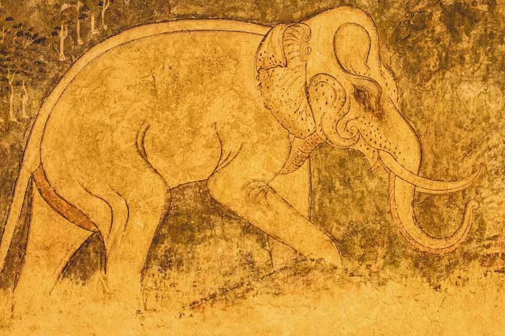 25 Interesting Facts About Extinct Animals You Will Find Useful Primates Park 25 Interesting Facts About Extinct Animals You Will Find Useful Primates Park